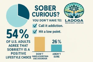 Sobriety Progress Stats 